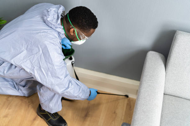 Best Pest Prevention Services  in Ironton, MO